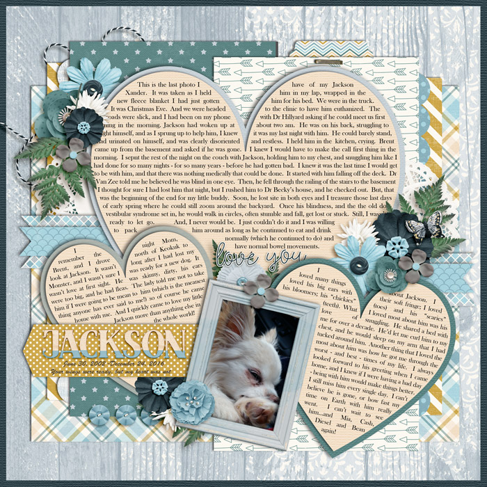 web-_12-24-2016_Jackson-cs-TP34-dsi-littleone