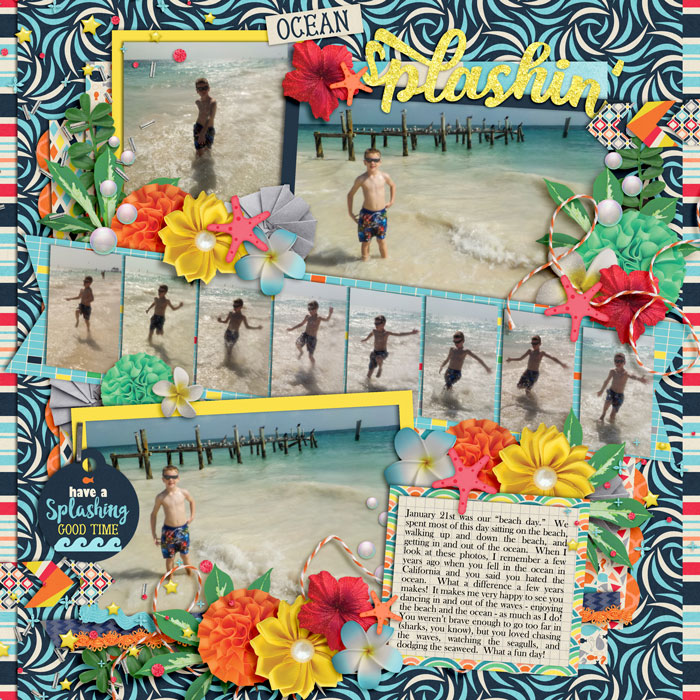 web7_01-22-2017_OceanSplashing-cs-take8-megsc-zoobiless-ocean