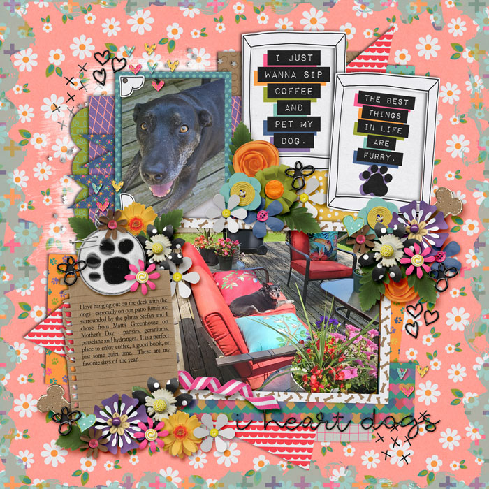 web_05-2023_Dogs-cs-HP286-ayi-acupwithmypup