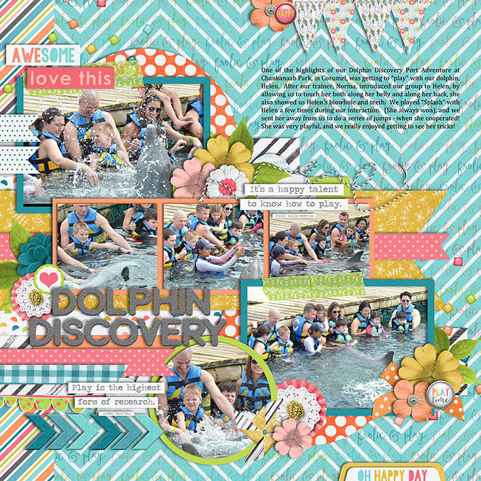 web_1-26-16_DolphinDiscoveryGroup-cs_seq5to8S9_ayihrtps_frolic_play