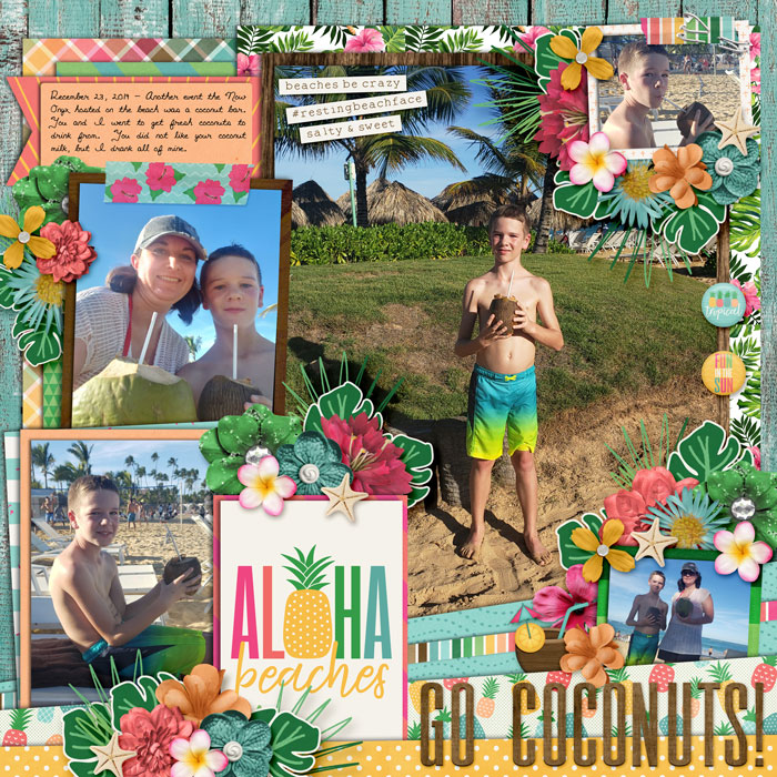 web_12-23-2019_Coconuts-cschneider-HP218-ayimm-alohabeaches