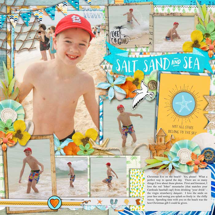 web_12-24-2018_Beach-cs-HP232-lbwsbd-beachscape