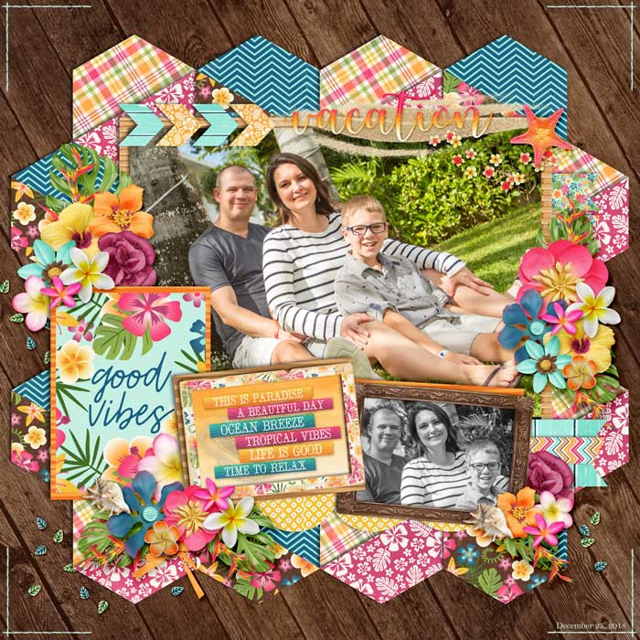 web_12-25-2018_Professional2-cs-HP178-dsi-tropicalvibes