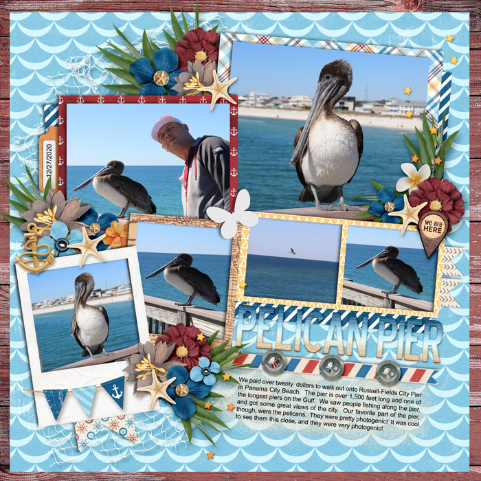 web_12-27-2020_Pelicans-cs-HP327-ssd-7seas