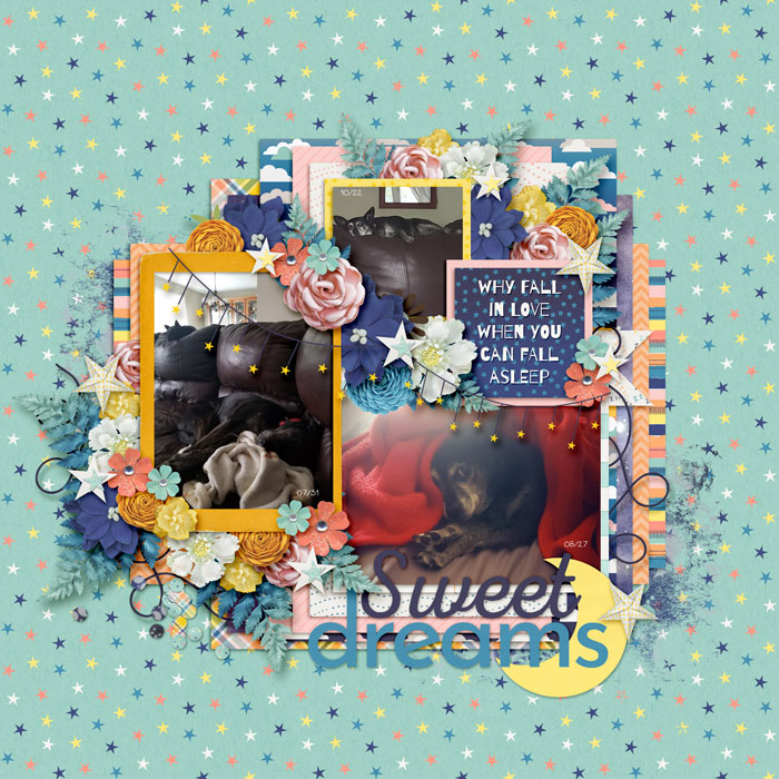 web_Fall2022_Dogs-ponytails-tempt9-megsc-dv-sleep