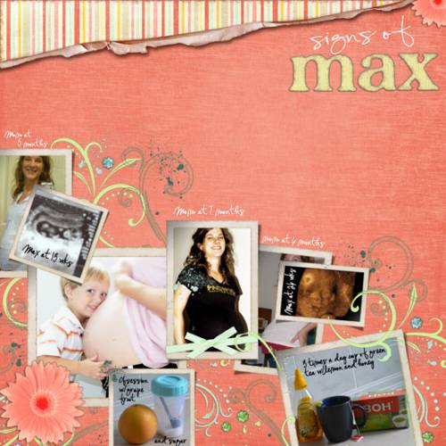 web_signs-of-Max