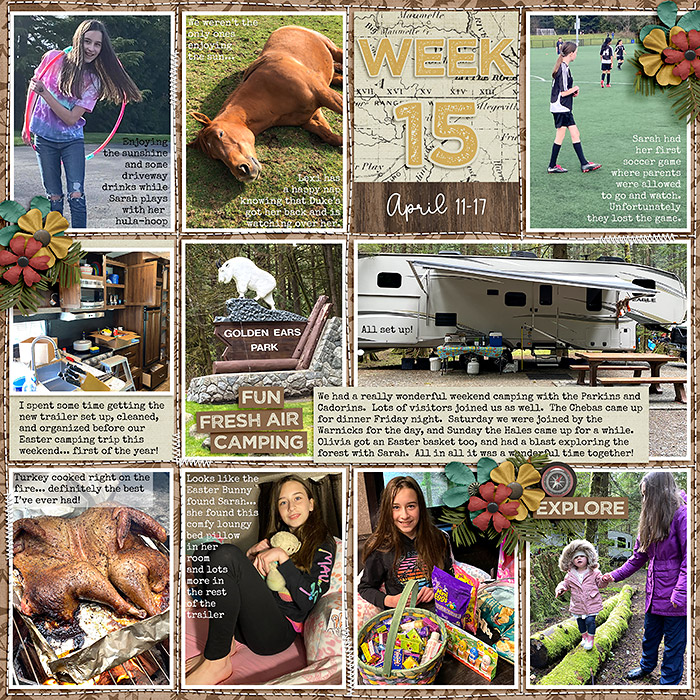 week15_ponytails-AdInTheWoods_treed-stitchedgrids2_web