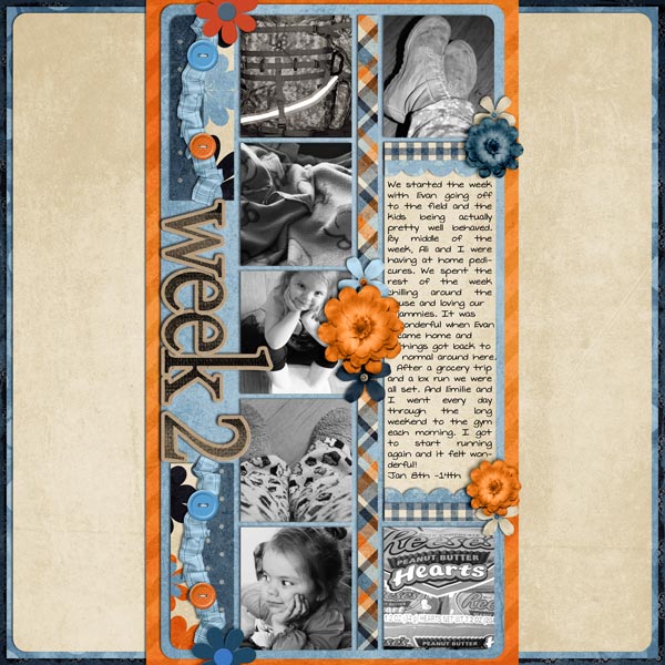 week2_Jan8_WebBT_2012