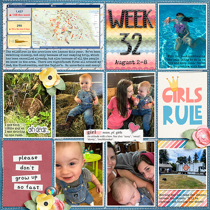 week32_ayi-bg-GirlsMakeTroubleToo_treed-stitchedgrids2_web