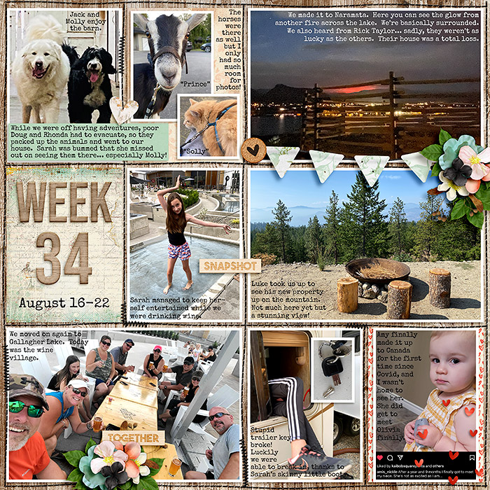 week34_sbasic-AMillionLittleThings_treed-stitchedgrids2_web
