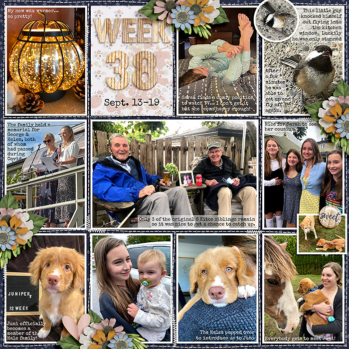 week38_ponytails-IllBeThere_treed-stitchedgrids2_web