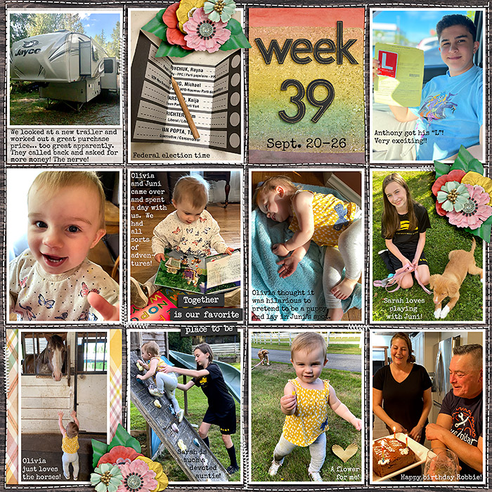 week39_ezane-YourFamily_treed-stitchedgrids2_web