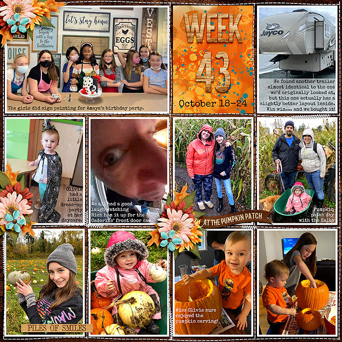 week43_DSI-HarvestHappenings_treed-stitchedgrids2_web