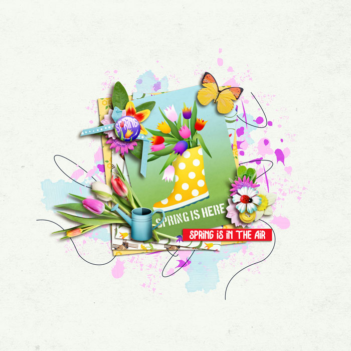 wendyp-dreamingoftulips-700