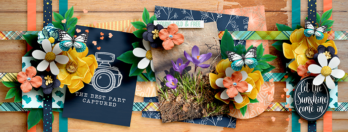 wendyp-fbcovertemplates-no2-LEA