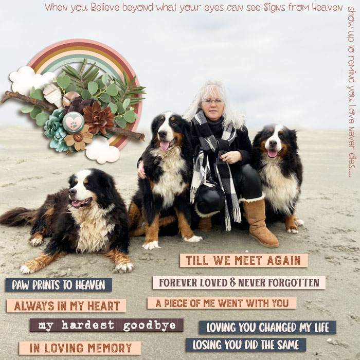 wendyp-pawprintstoheaven-700
