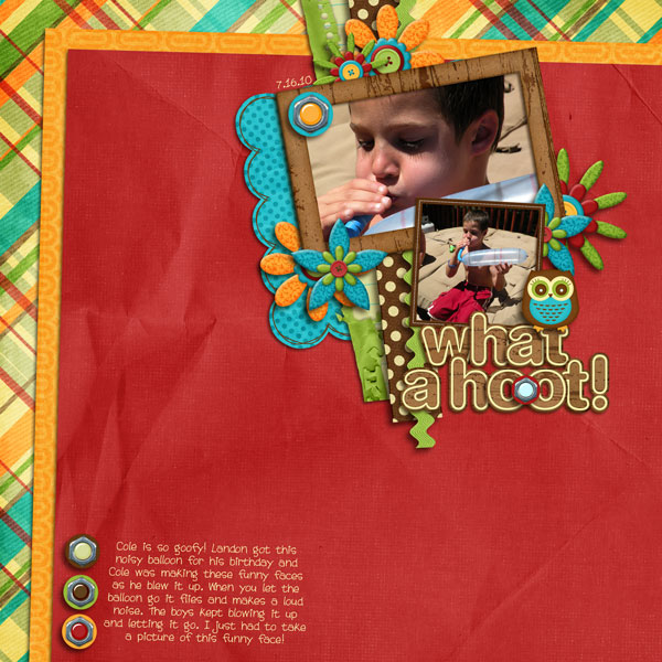 what-a-hoot-wr