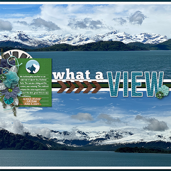 what-a-view-glacier-bay