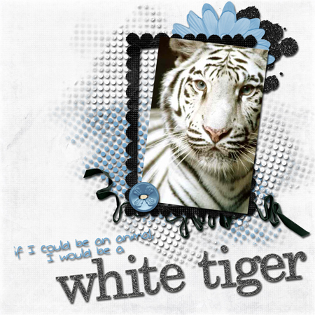 white-tiger