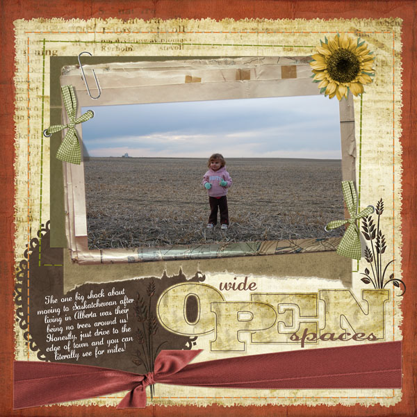 wide_open_spaces