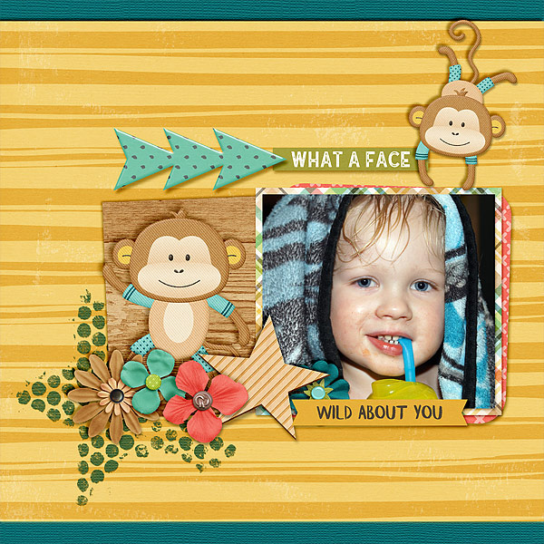 wild-about-you-monkey