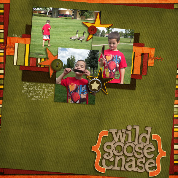 wild-goose-chase-wr