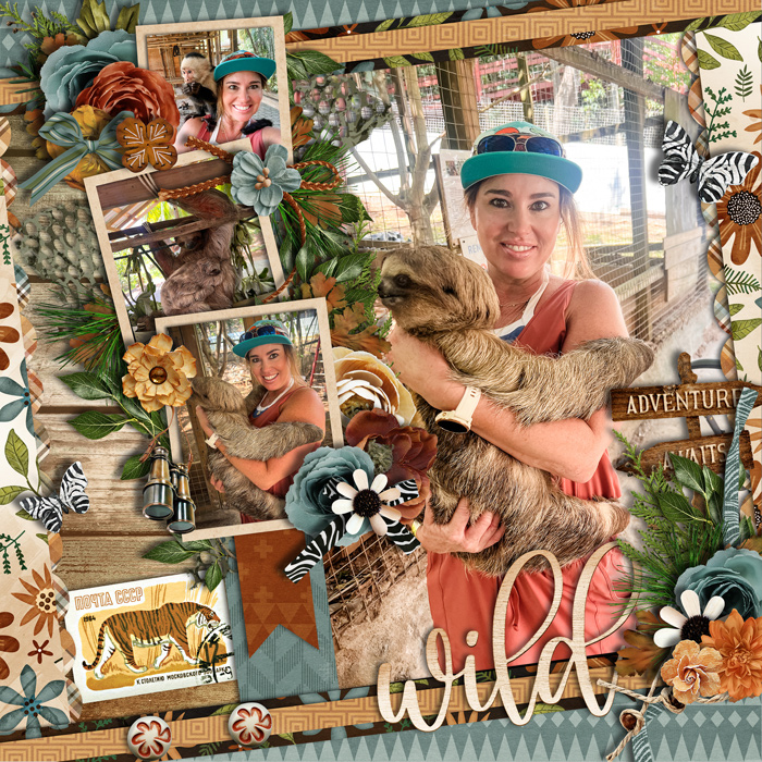 wild2024web