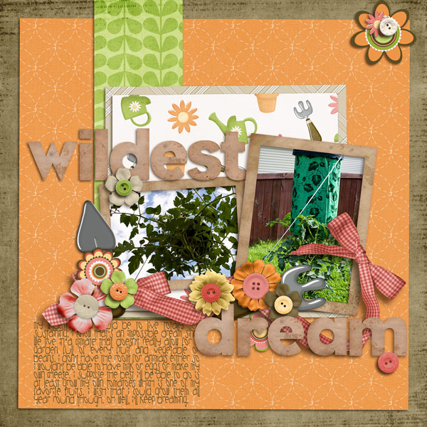 wildest-dreamweb
