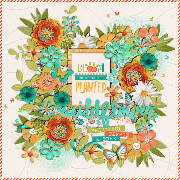 wildflower_HSA-one-derful-2-copy
