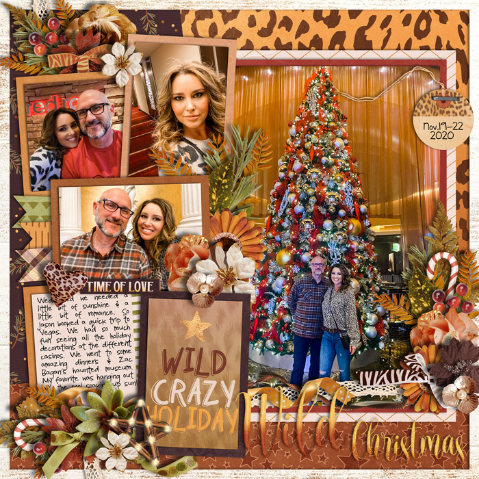 wildholiday2020web