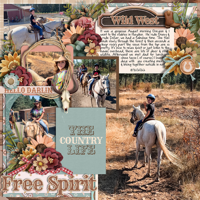 wildwestweb