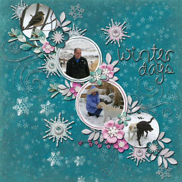 winter-days
