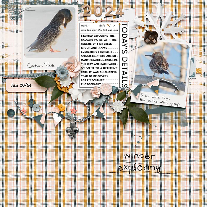 winterexploring700
