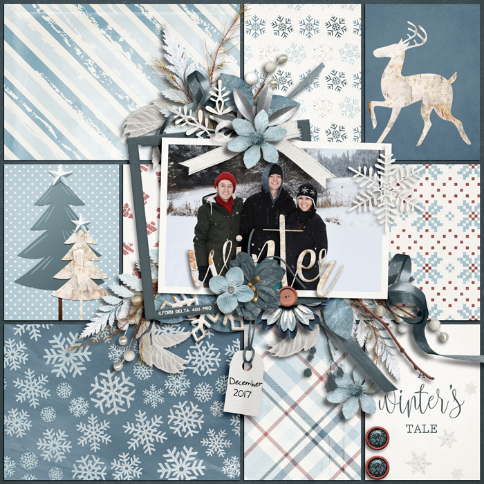 winterstale2017web