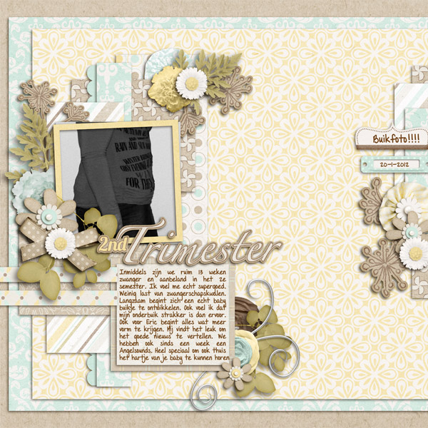 wk5---2nd-trimester-web