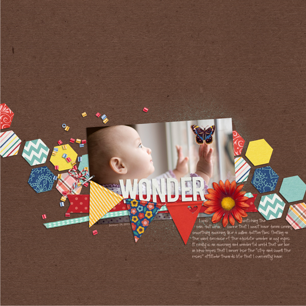 wonder24