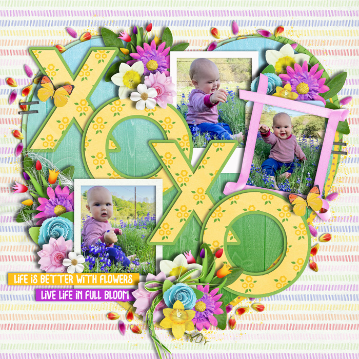 xoxo2023web