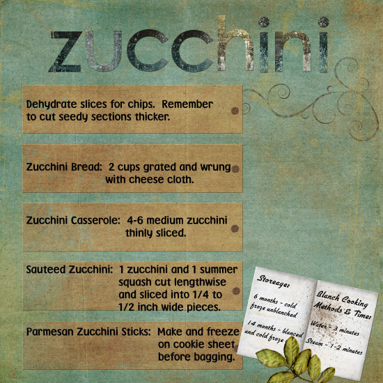 zucchini_storage_-_flat