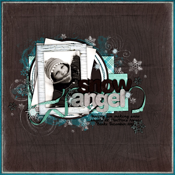 022811snowangel600