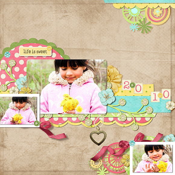 05-24-10-lis-cschneider-templates50-jbillingsley-naturally