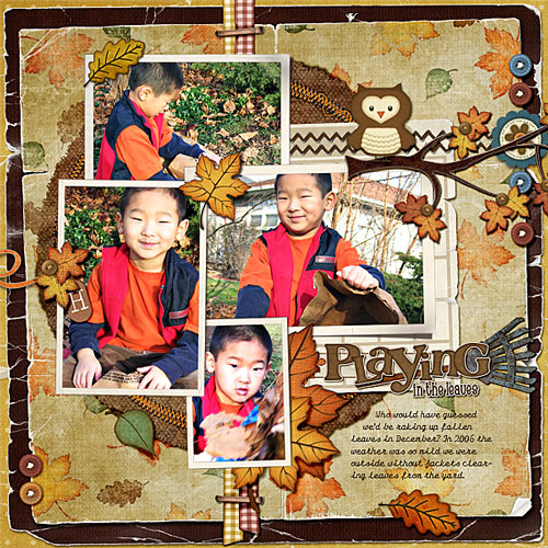 0612-playing-in-the-leaves-500