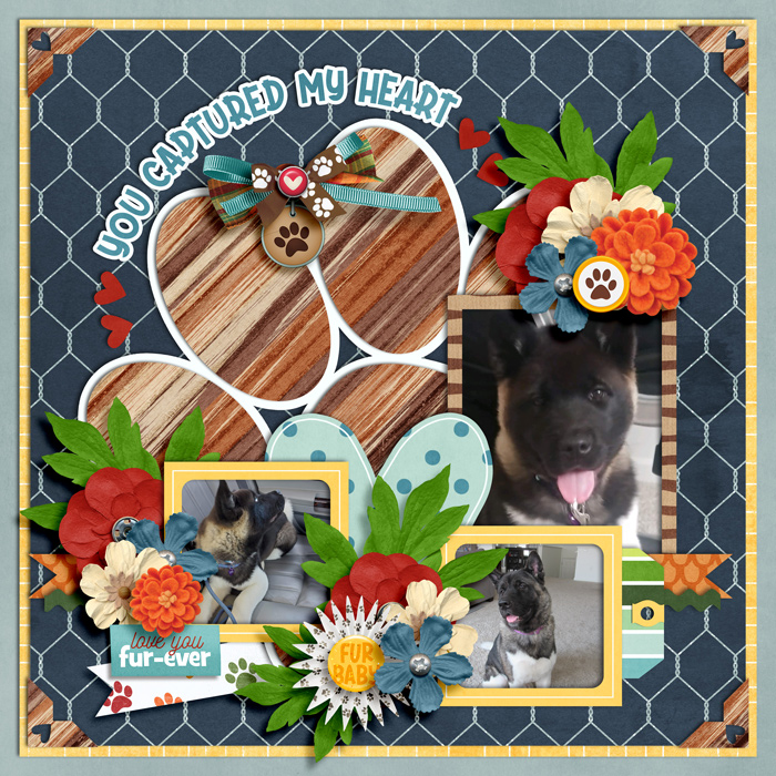 0826_petathon-kiana