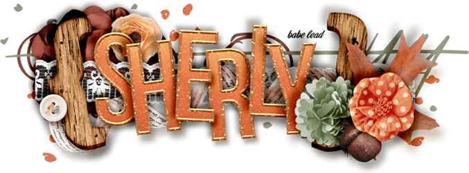 0_siggy