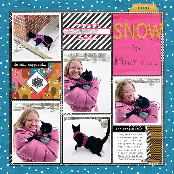 1-24-Memphis-Snow-700