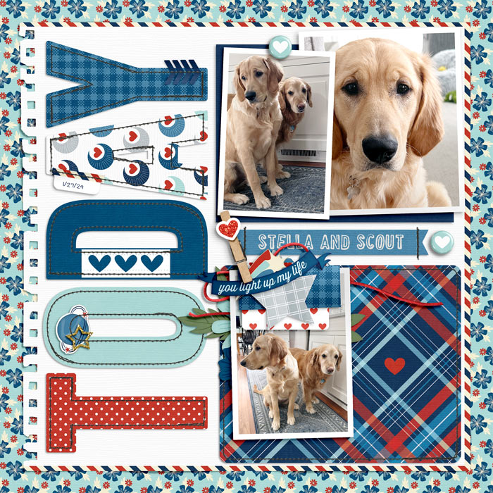 1-24DogsToday700