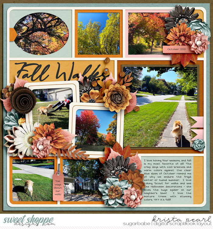 10-21Fall-WalksSSD
