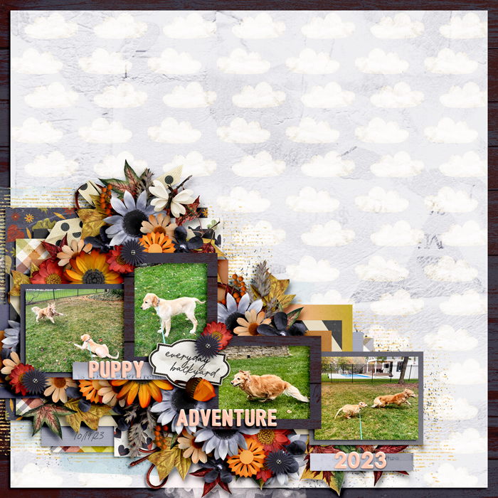 10-23-Fall-Puppy-Play-700
