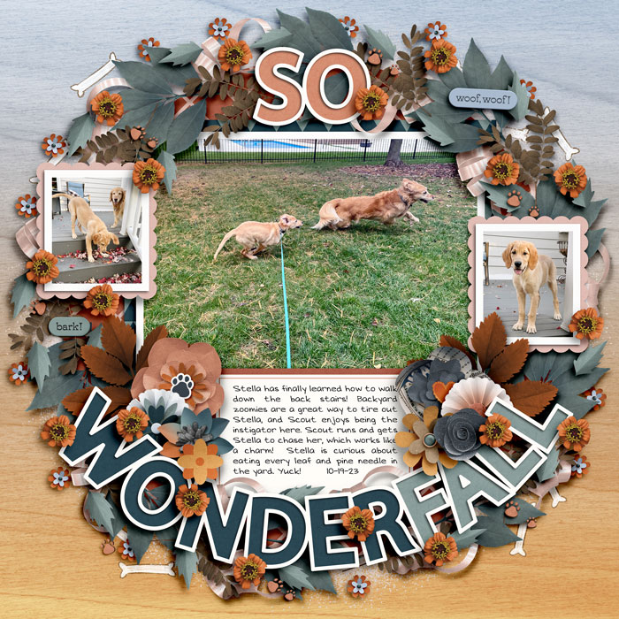 10-23-So-Wonderfall-700
