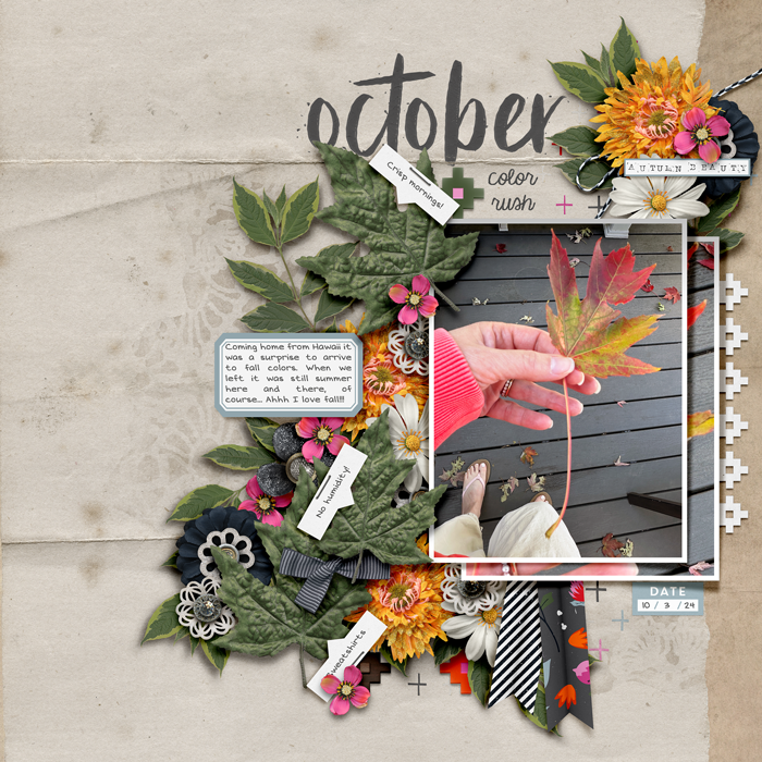 10-24-Fall-Color-Rush-700