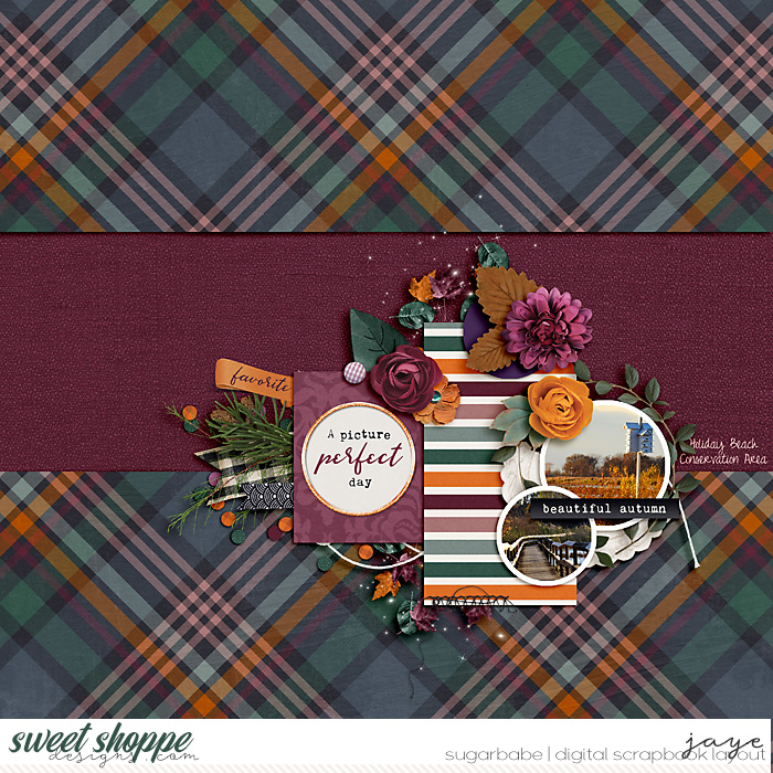 1002-FallSnapshots_BG_RR_GL